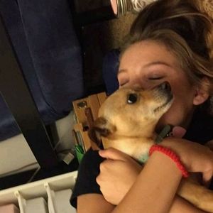 Meet your Posher, Abigail